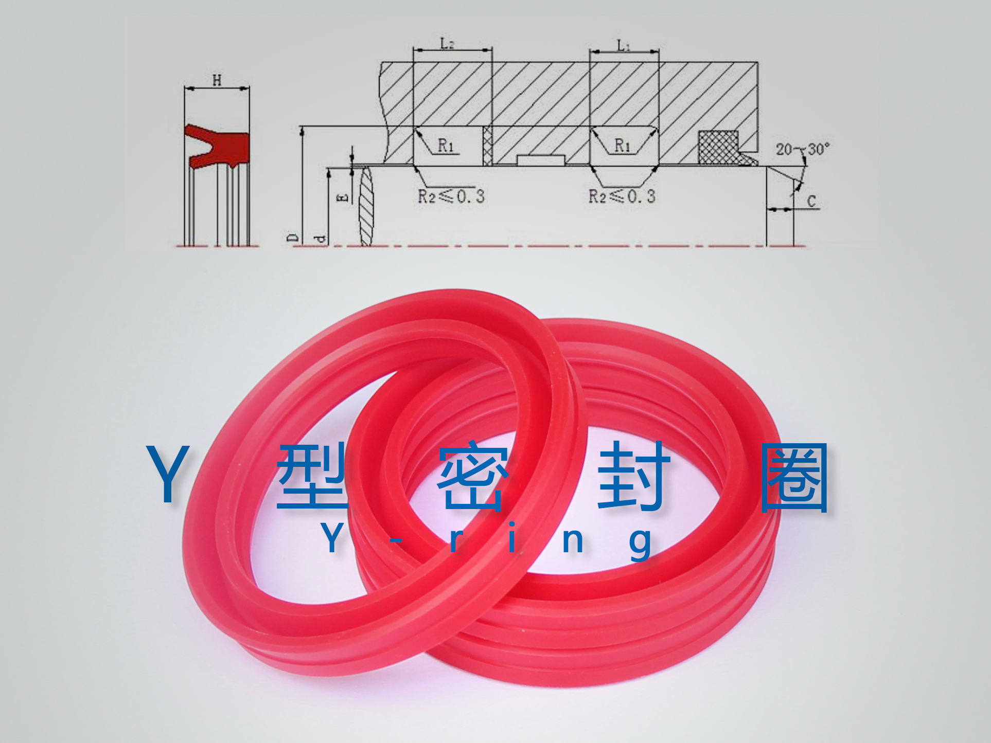 Y型密封圈（密封件、油封）與截面結(jié)構(gòu)產(chǎn)品圖.jpg