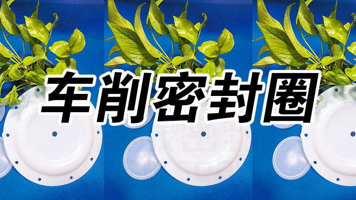 2車削密封圈，氣動(dòng)隔膜泵膜片密封件